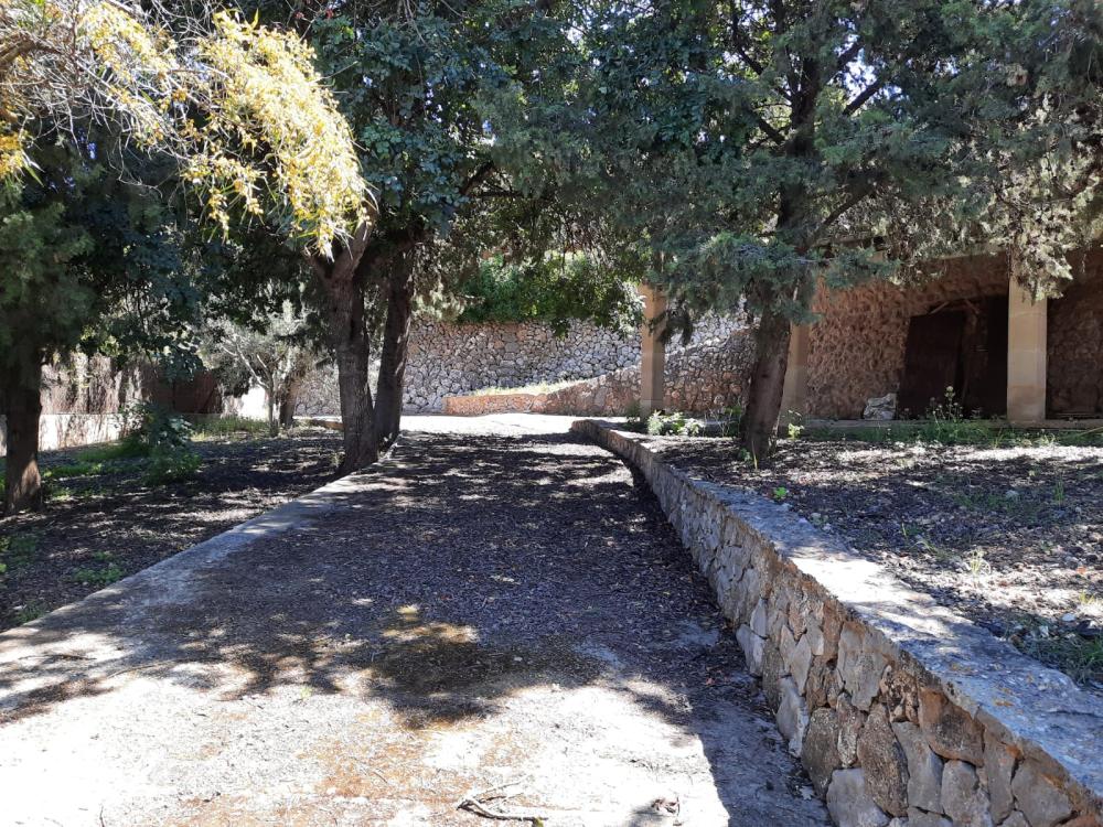  for sale plot Esporles Tramuntana 3