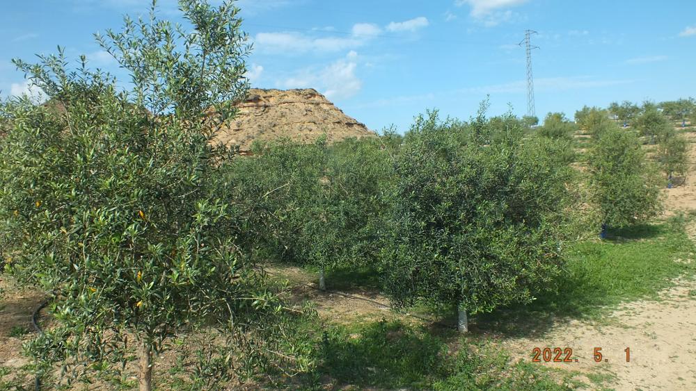  for sale country house Aitona Segrià 20