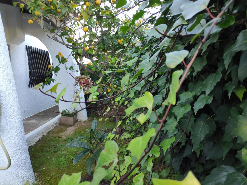  for sale villa Barri Maritim De Comarruga Baix Penedès 17