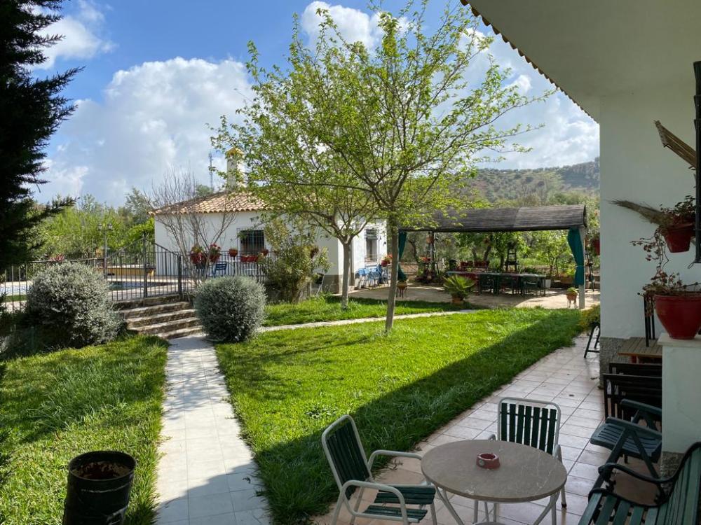  for sale villa Baena Campiña De Baena 6
