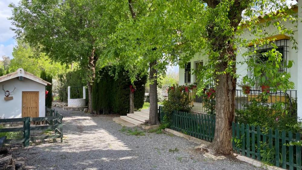  for sale villa Baena Campiña De Baena 7