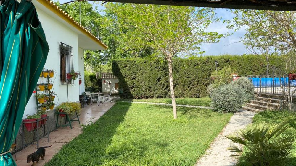  for sale villa Baena Campiña De Baena 11