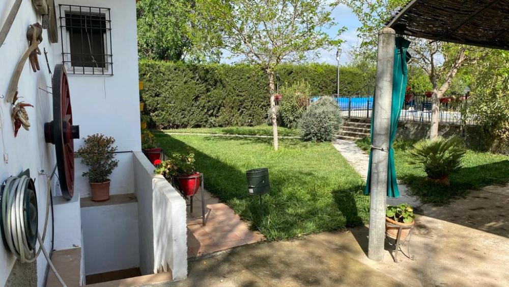  for sale villa Baena Campiña De Baena 12