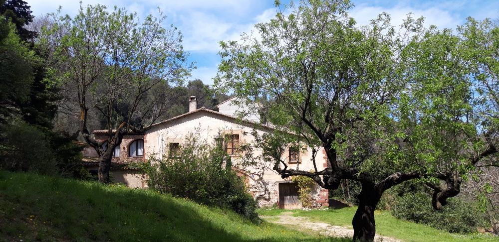  for sale country house Sant Andreu De La Barca Baix Llobregat 4