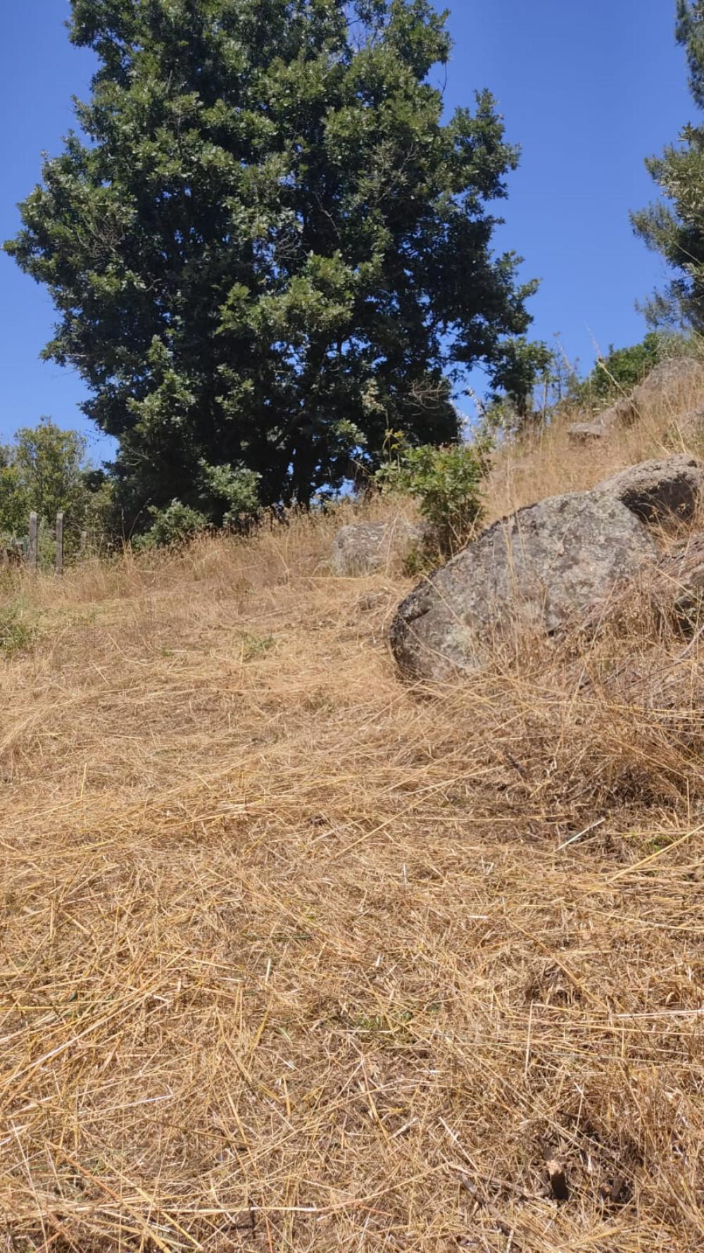  for sale plot Santa Mariña Do Monte Ourense 3
