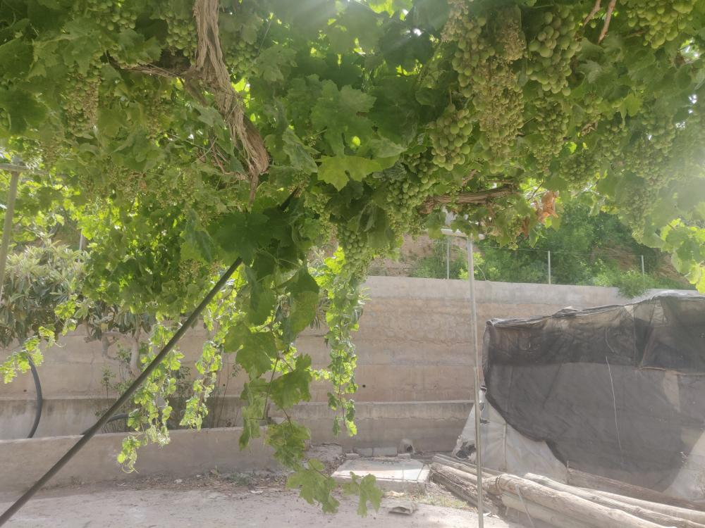  for sale plot Castell De Ferro Costa Tropical 27