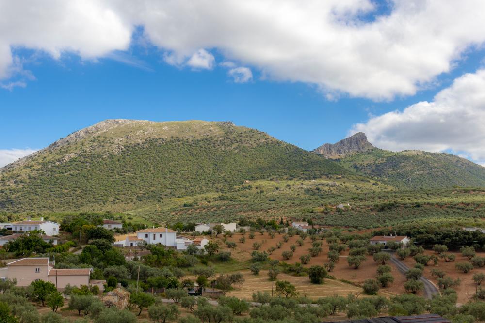  for sale villa Fuente Camacho Loja 8