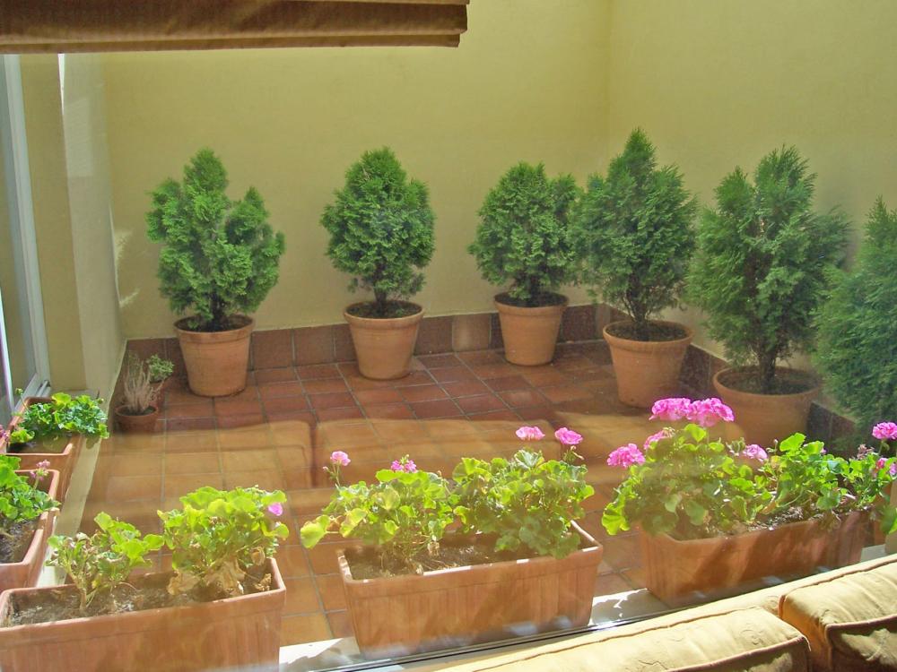  for sale house Salamanca Centro 37001 Campo De Salamanca 25