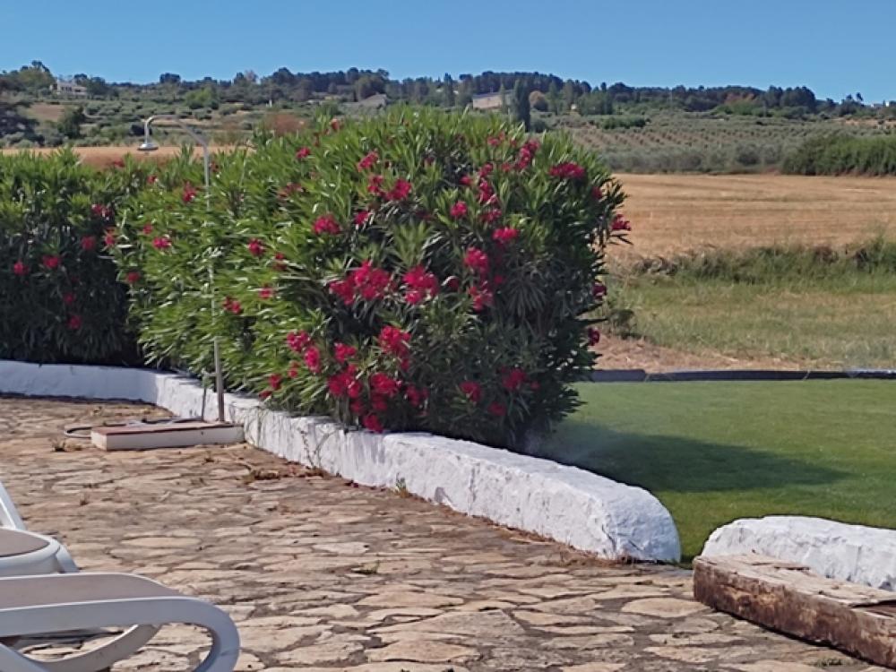  for sale hotel Ronda Serranía De Ronda 33