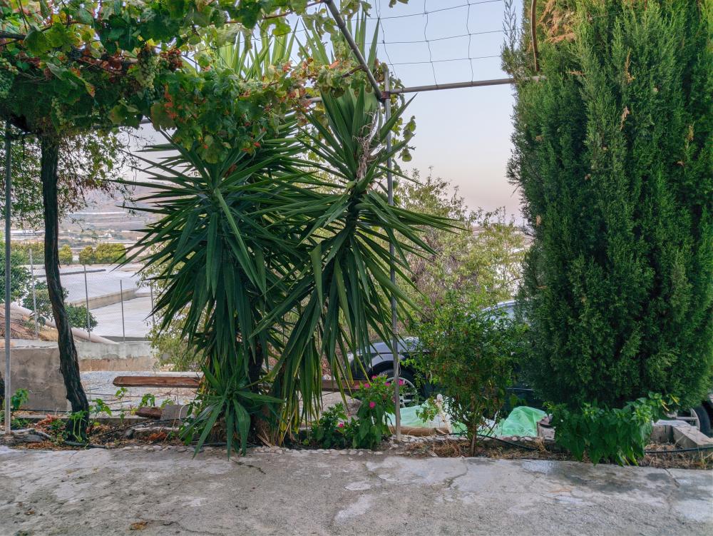  for sale plot Castell De Ferro Costa Tropical 25