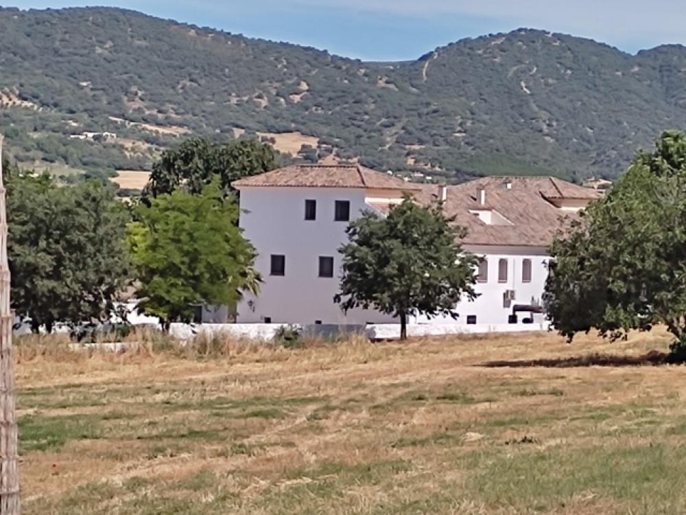  for sale hotel Ronda Serranía De Ronda 29