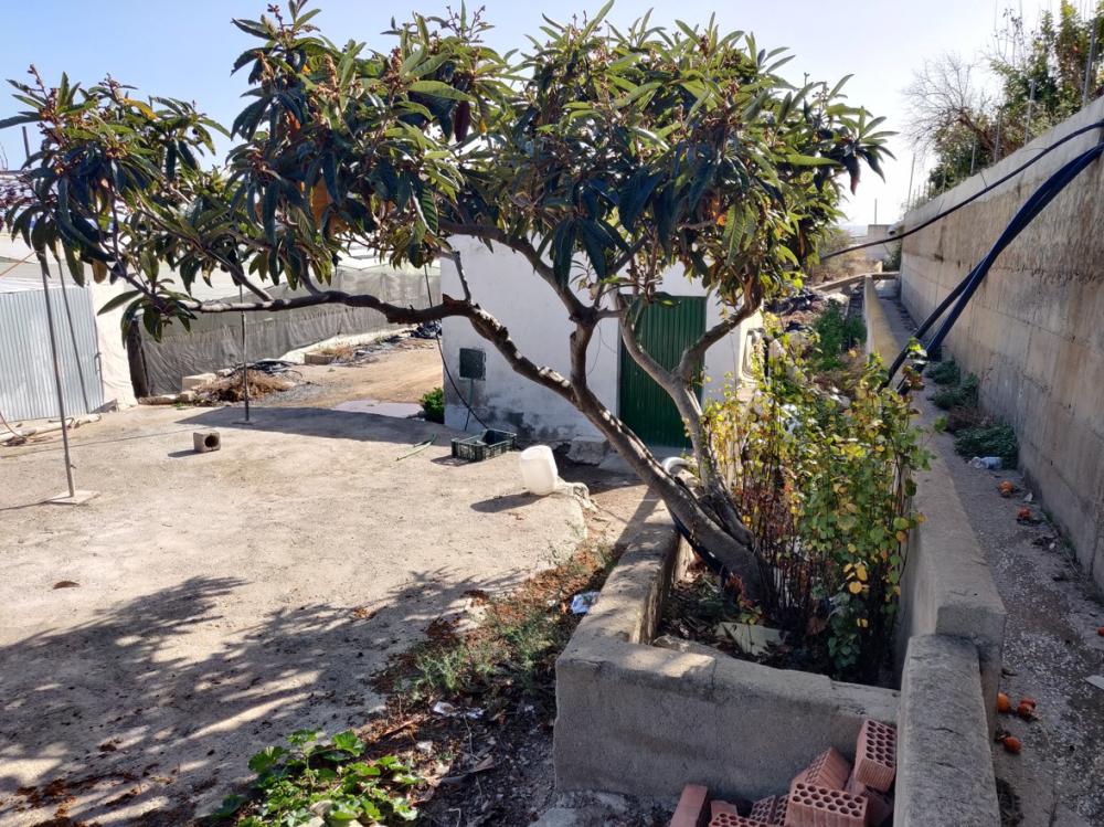  for sale plot Castell De Ferro Costa Tropical 14