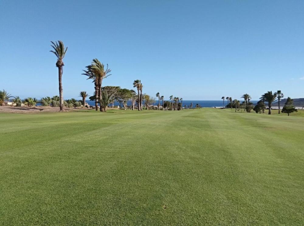  for sale apartment Amarilla Golf Zona Sur 25