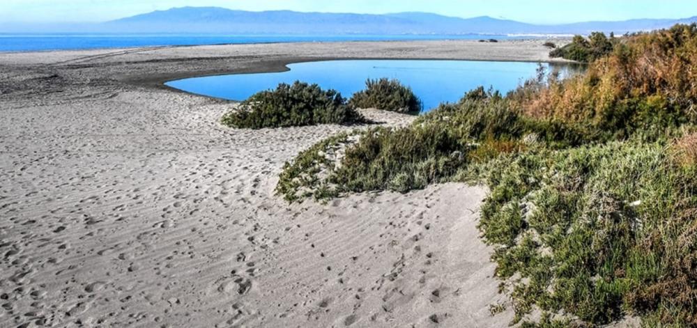  for sale plot Cabo De Gata Comarca Metropolitana De Almería 10