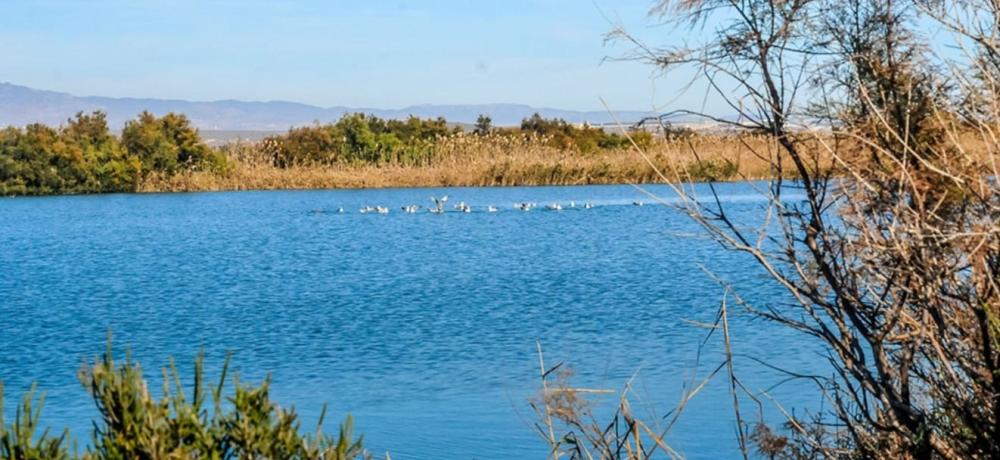  for sale plot Cabo De Gata Comarca Metropolitana De Almería 7