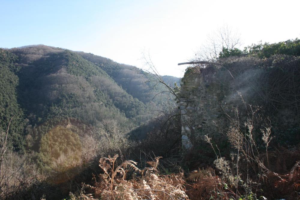  for sale country house Susqueda Selva 5