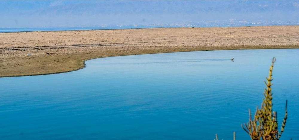  for sale plot Cabo De Gata Comarca Metropolitana De Almería 5