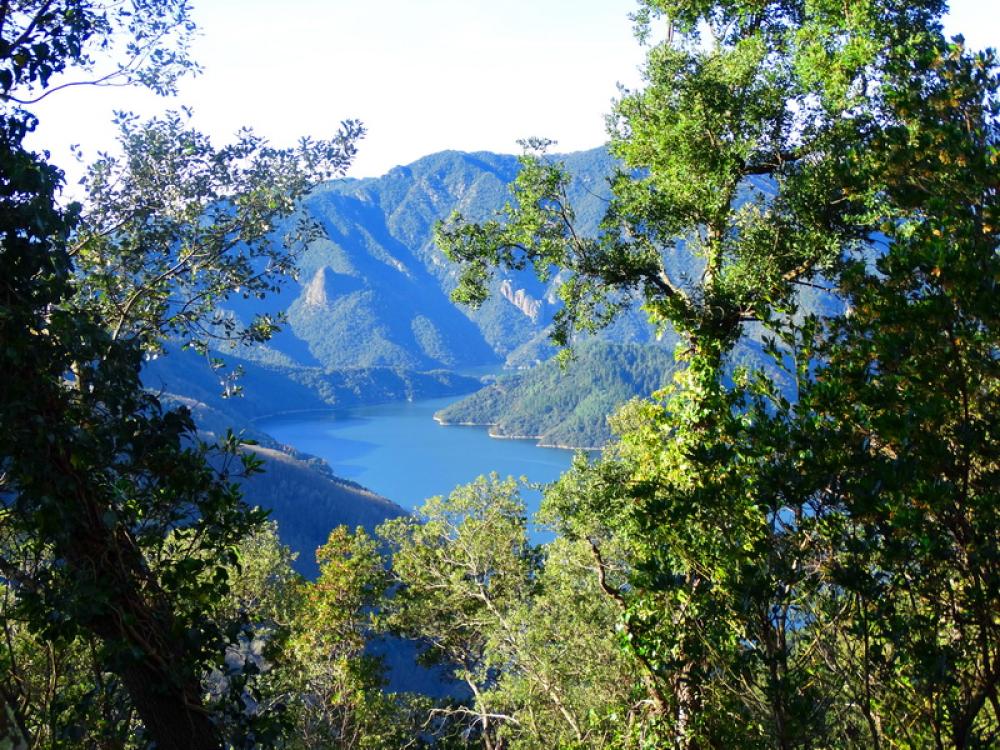  for sale country house Susqueda Selva 9