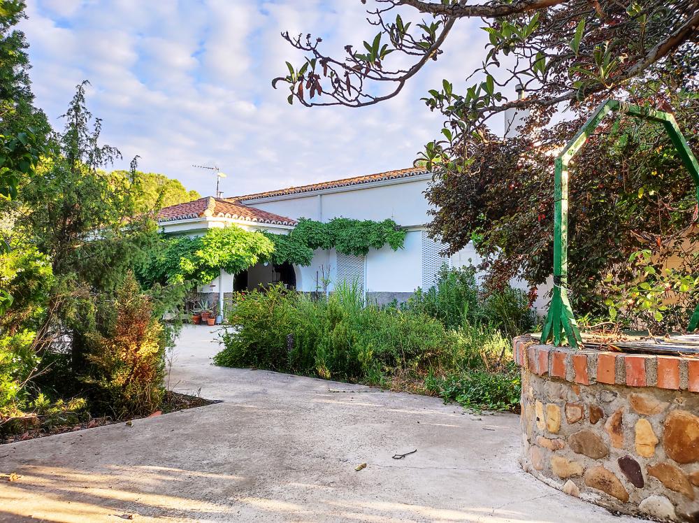  for sale house Valdetorres De Jarama Cuenca Del Medio Jarama 17
