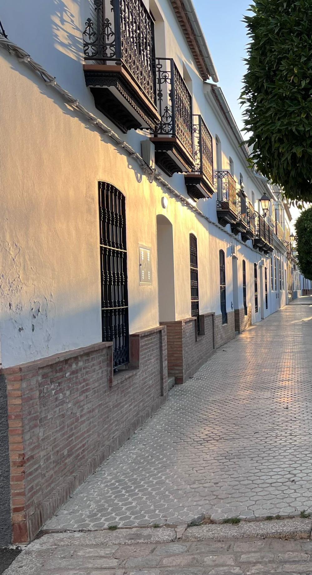  for sale house El Pedroso Sierra Norte 48