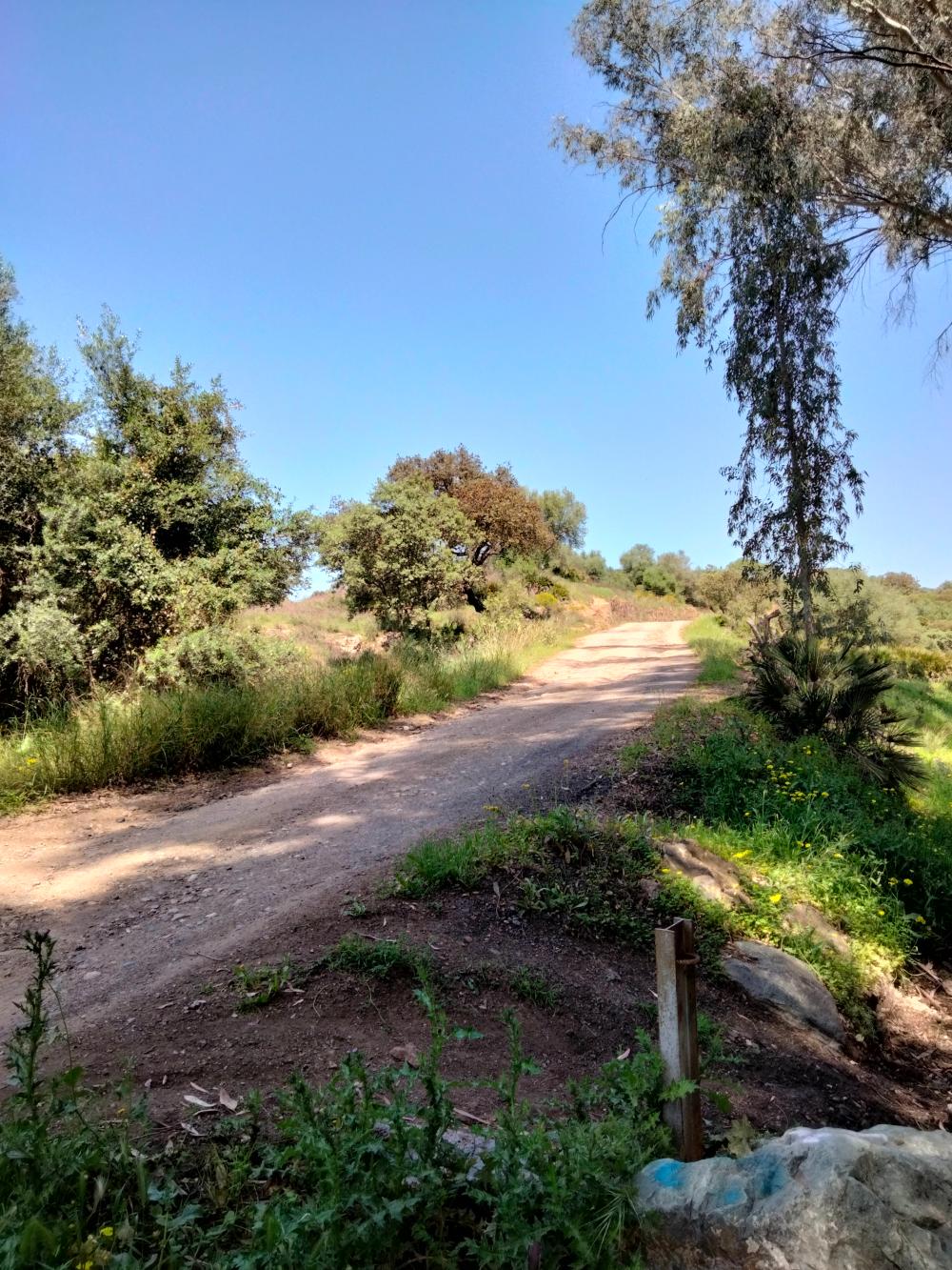  for sale commercial premise Villanueva Del Río Y Minas Vega Del Guadalquivir 14