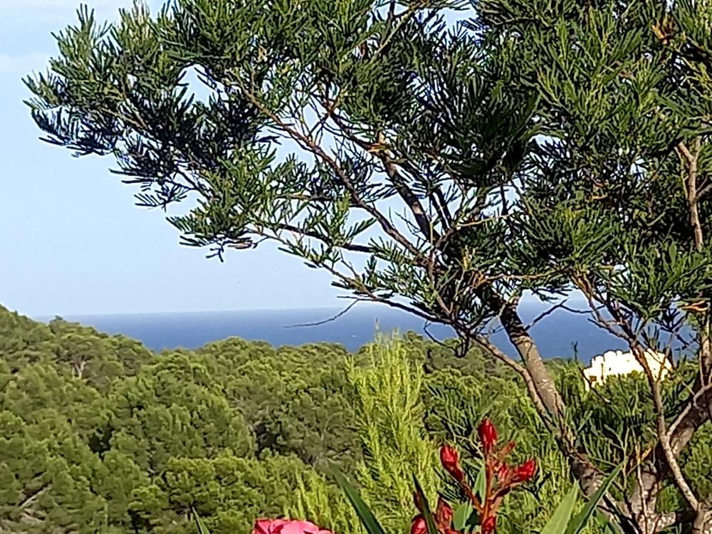  for sale villa Sierra De Altea Marina Baixa 14