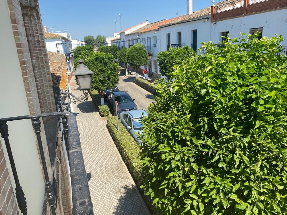  for sale house El Pedroso Sierra Norte 25