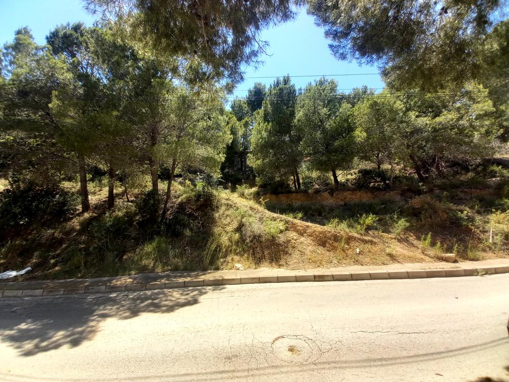  for sale plot Sierra De Altea Marina Baixa 6