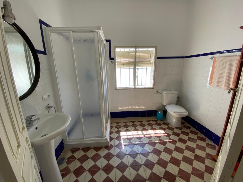  for sale house El Pedroso Sierra Norte 30