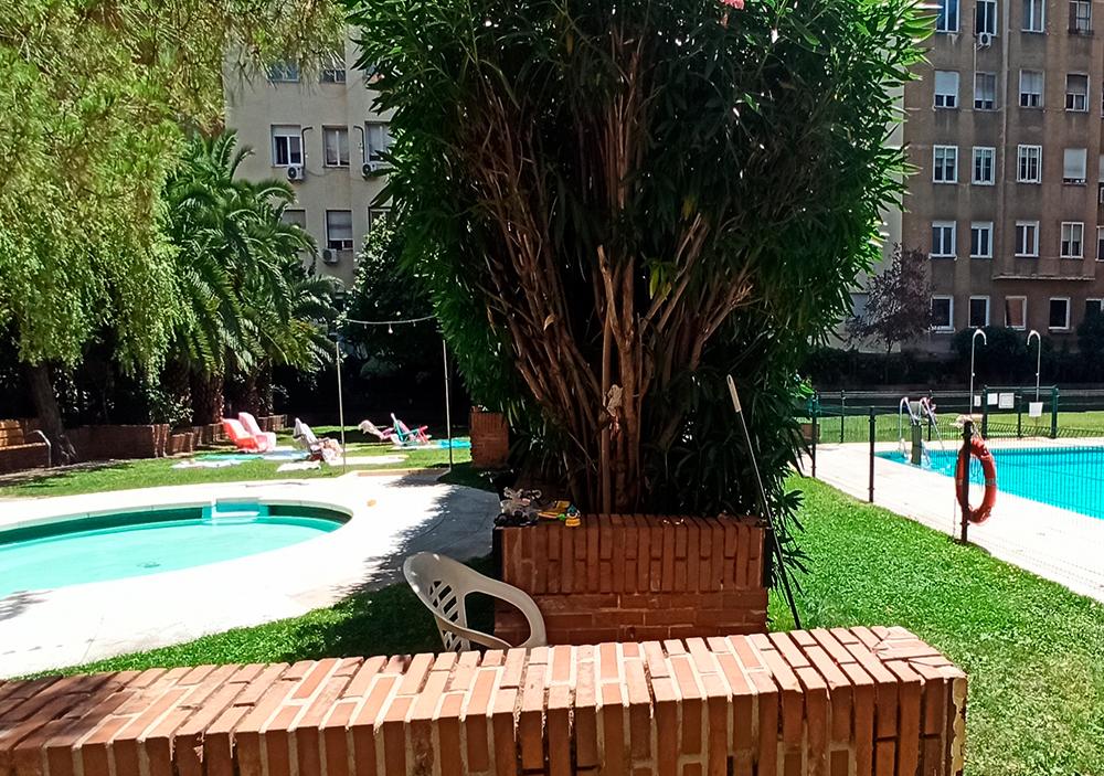  for sale apartment Chamberí-Ríos Rosas Madrid Capital 3