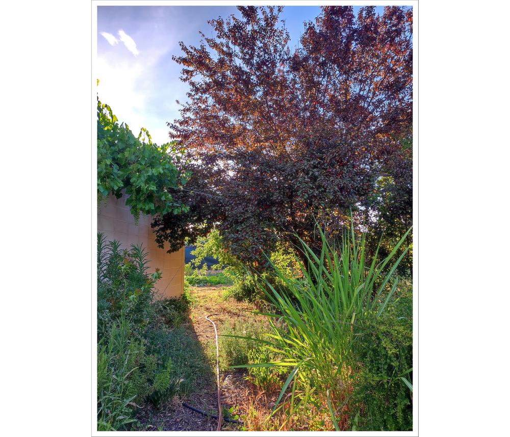  for sale house Valdetorres De Jarama Cuenca Del Medio Jarama 18