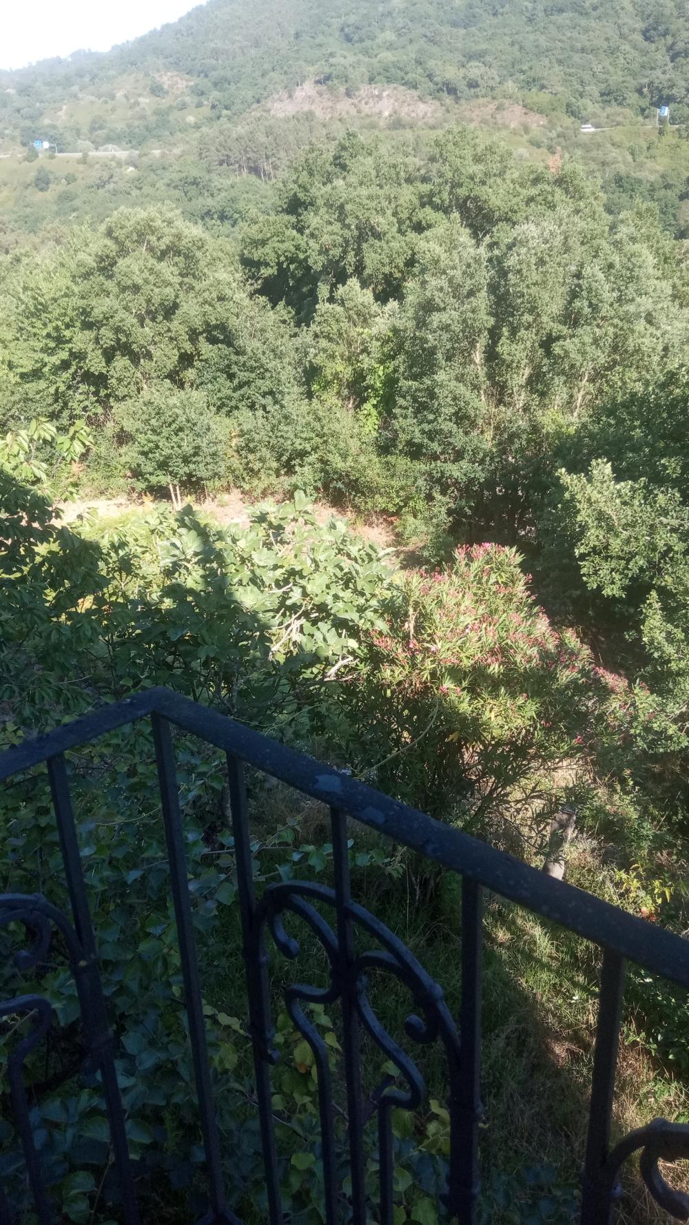  for sale house Untes Ourense 12