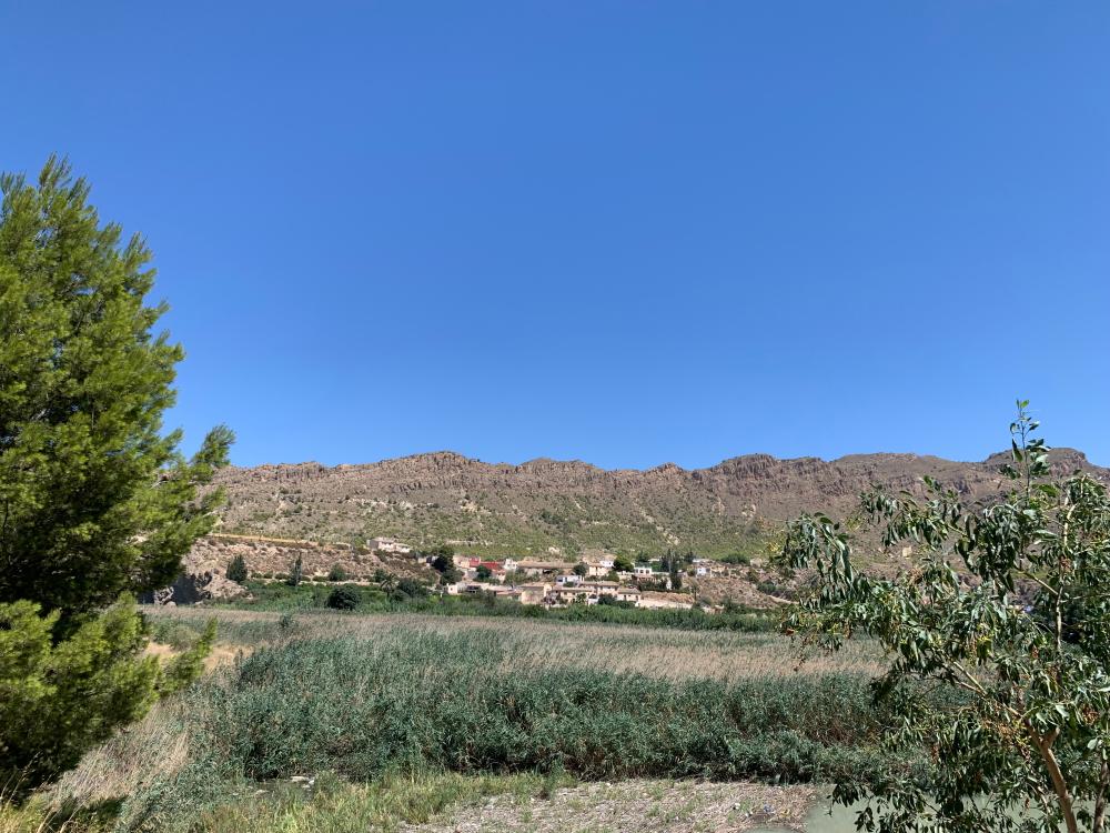  for sale country house Blanca Vega Alta Del Segura 12
