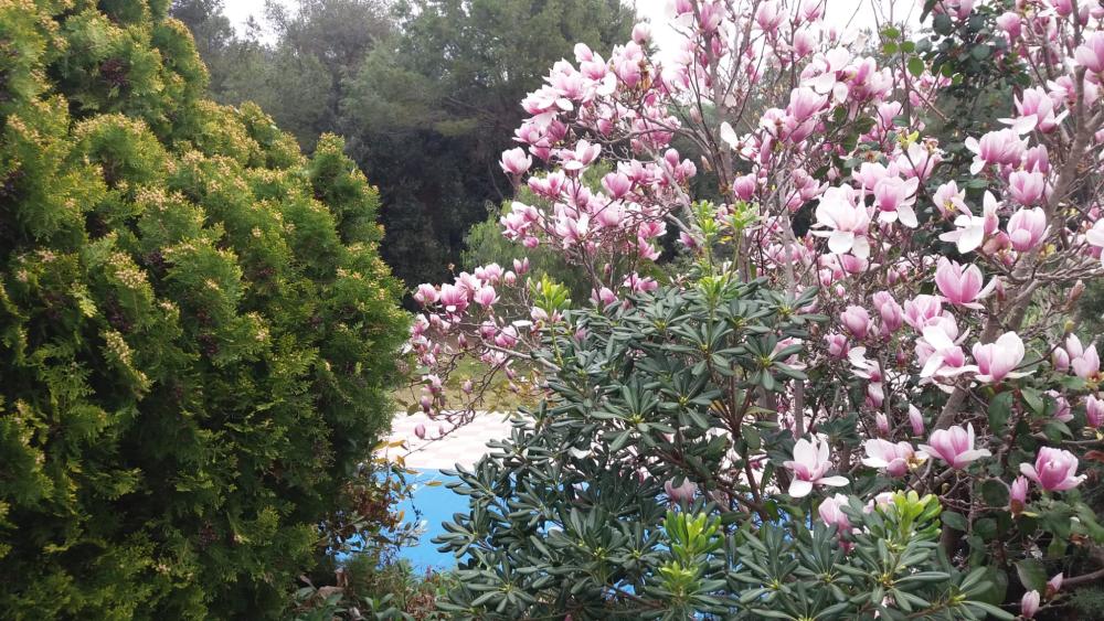  for sale villa Santa Eulàlia De Ronçana Vallès Oriental 8