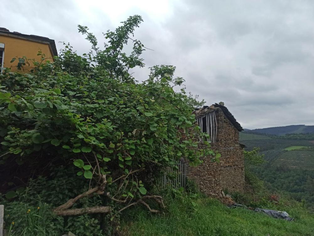  for sale country house Conforto Mariña Oriental 36