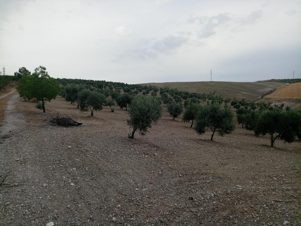  for sale country house Gabia Grande Vega De Granada 5