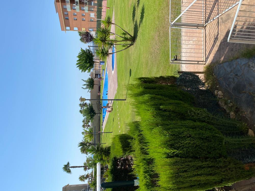  for sale ground floor Cubelles Garraf 4