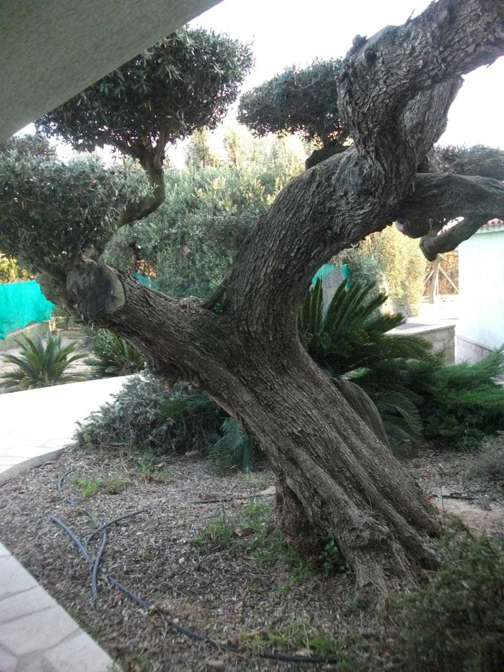  for sale country house Camarles Baix Ebre 12