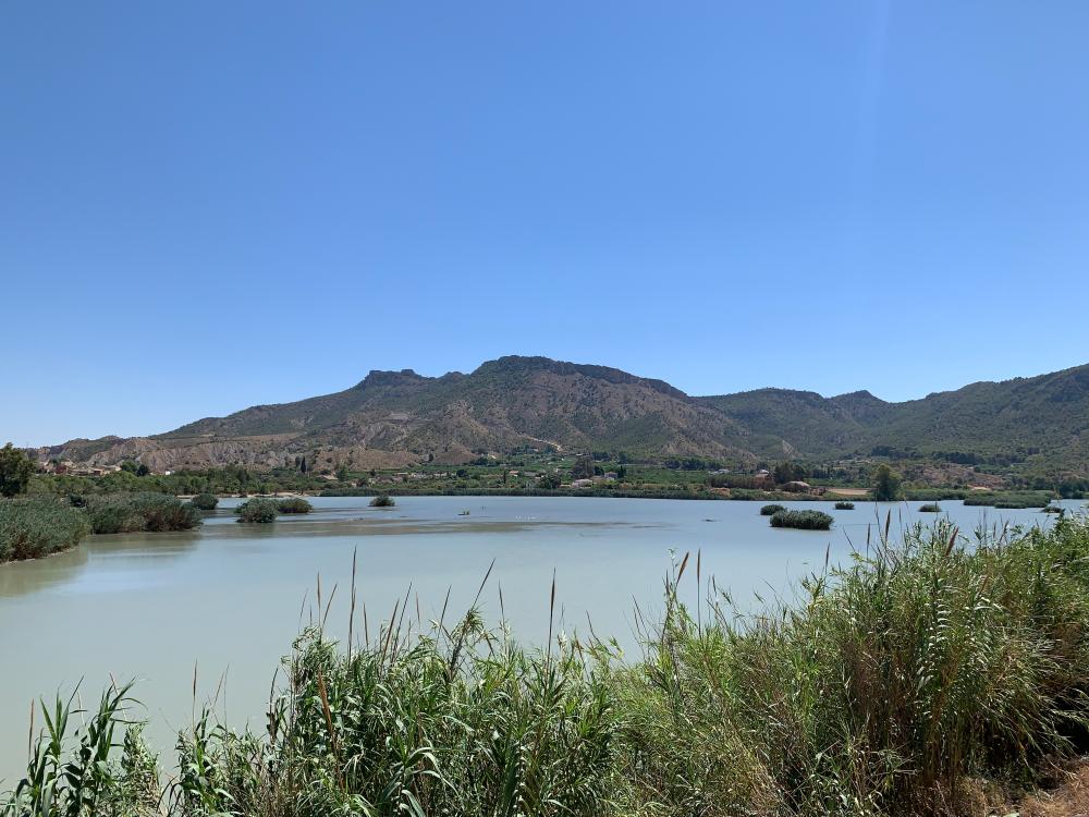  for sale country house Blanca Vega Alta Del Segura 10