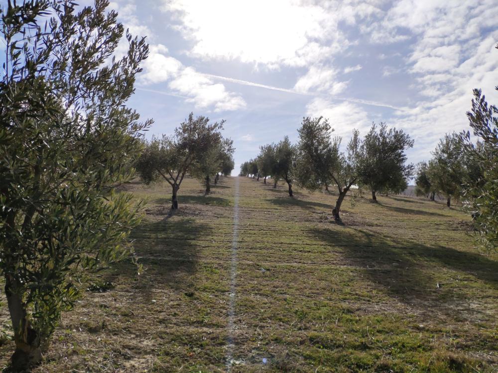  for sale country house Gabia Grande Vega De Granada 6
