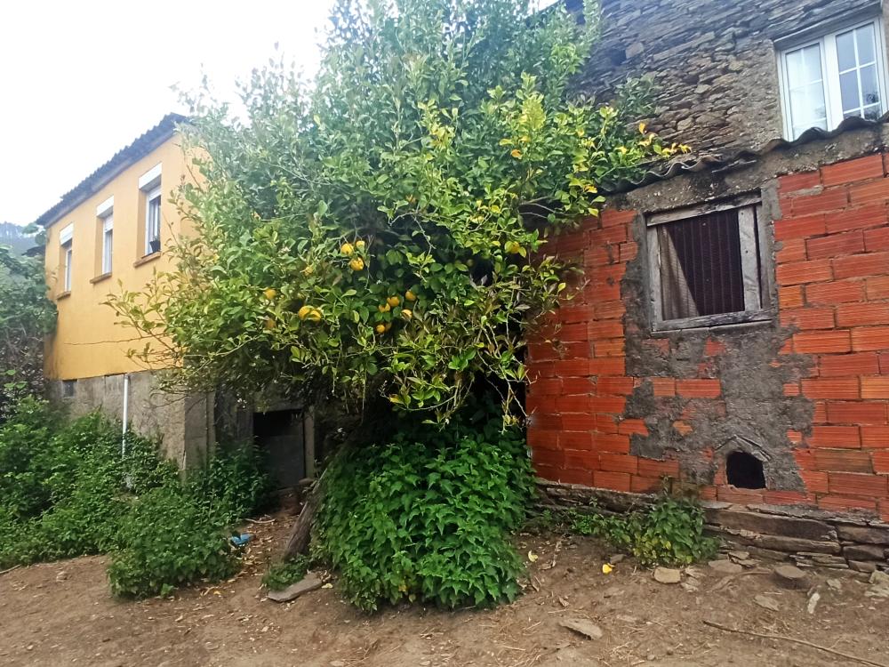  for sale country house Conforto Mariña Oriental 30