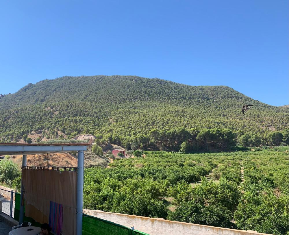  for sale country house Blanca Vega Alta Del Segura 5