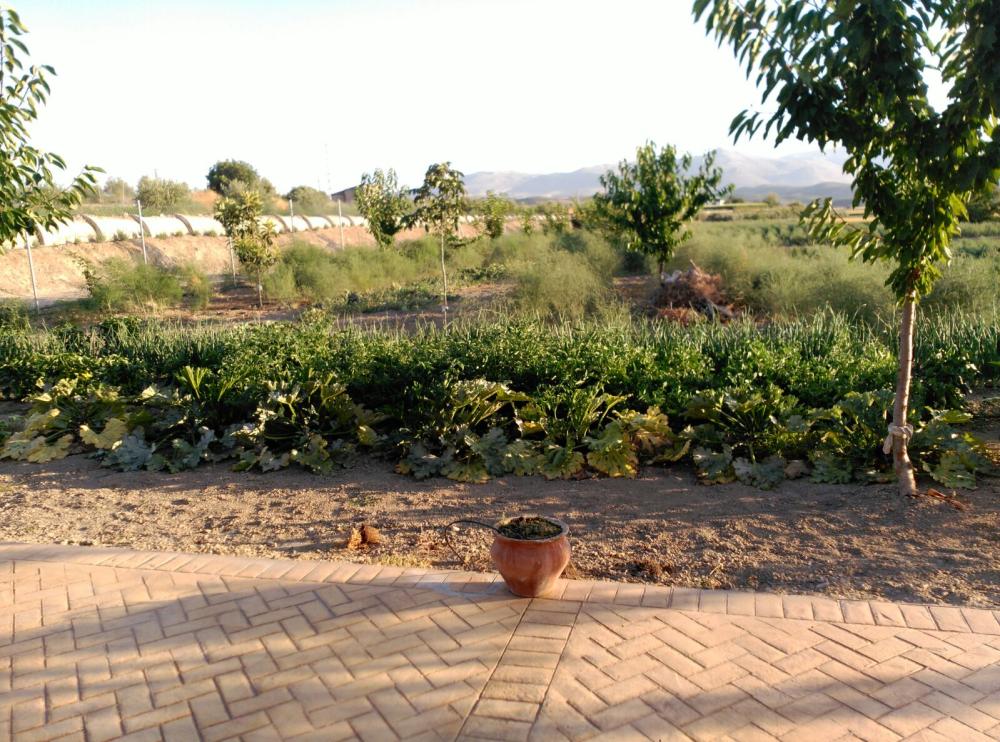  for sale house Huétor-Tájar Loja 11
