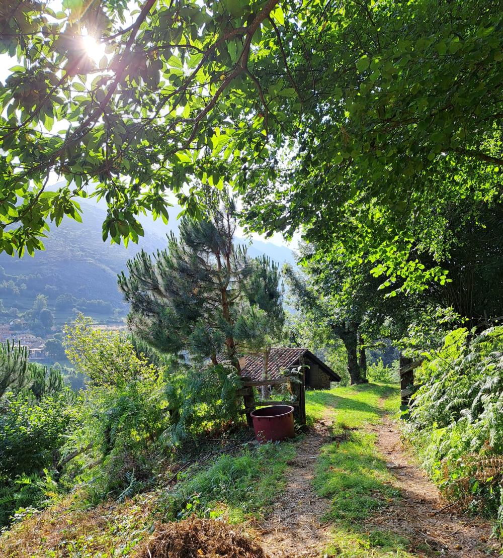  for sale country house Campo De Caso Nalón 4