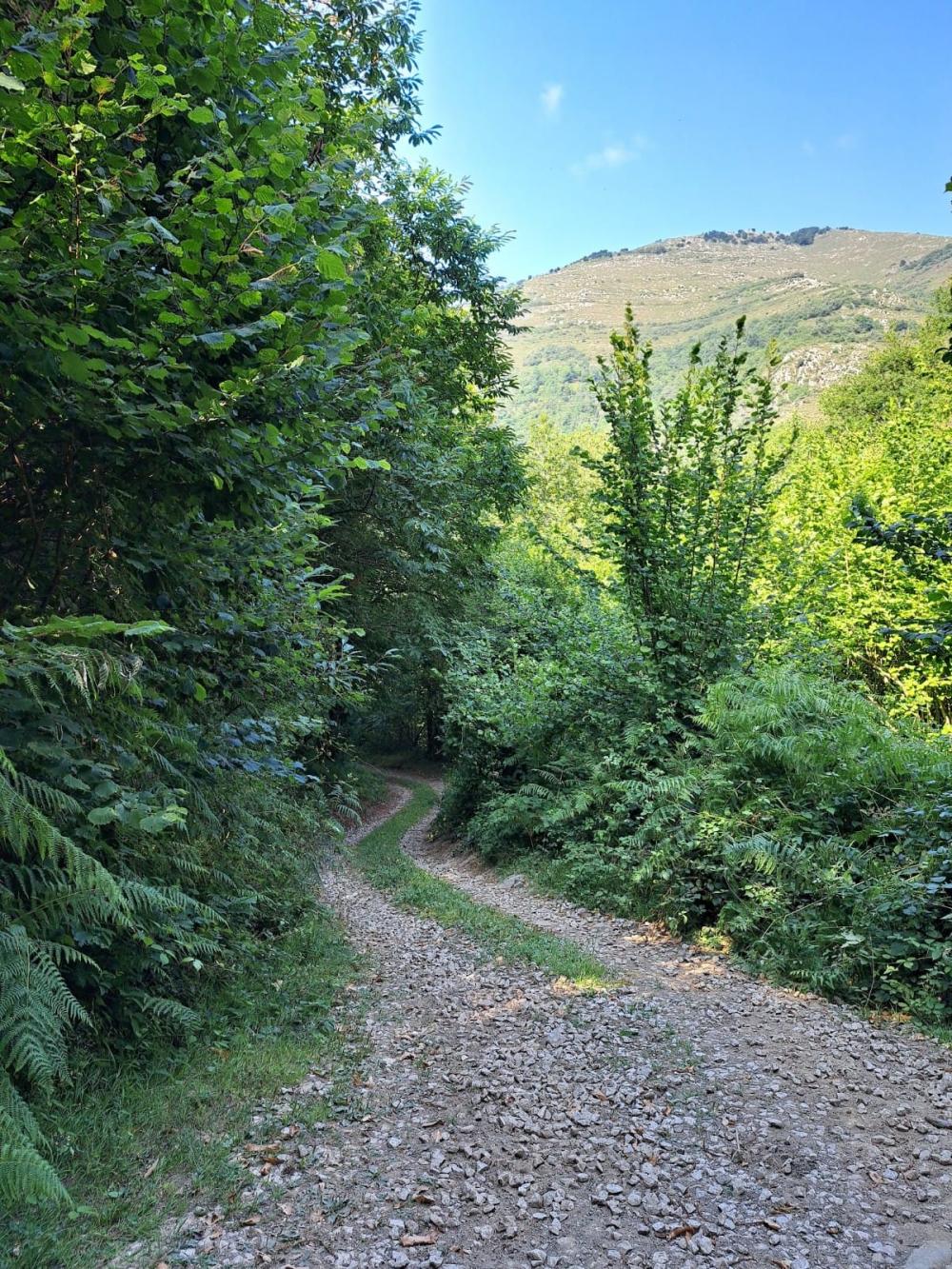  for sale country house Campo De Caso Nalón 19