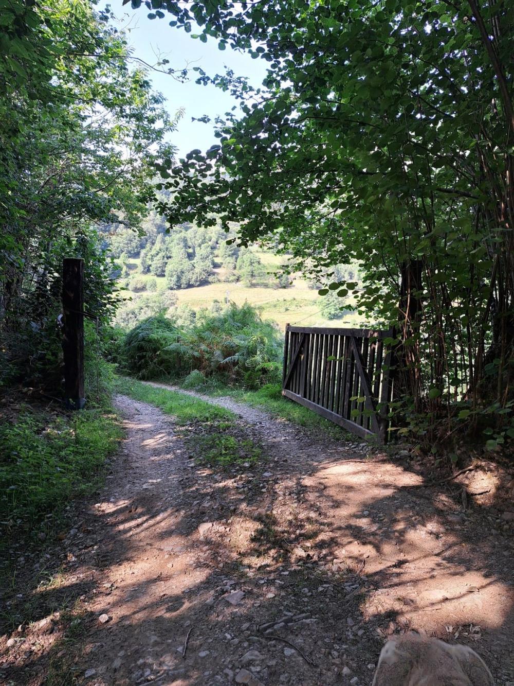  for sale country house Campo De Caso Nalón 26