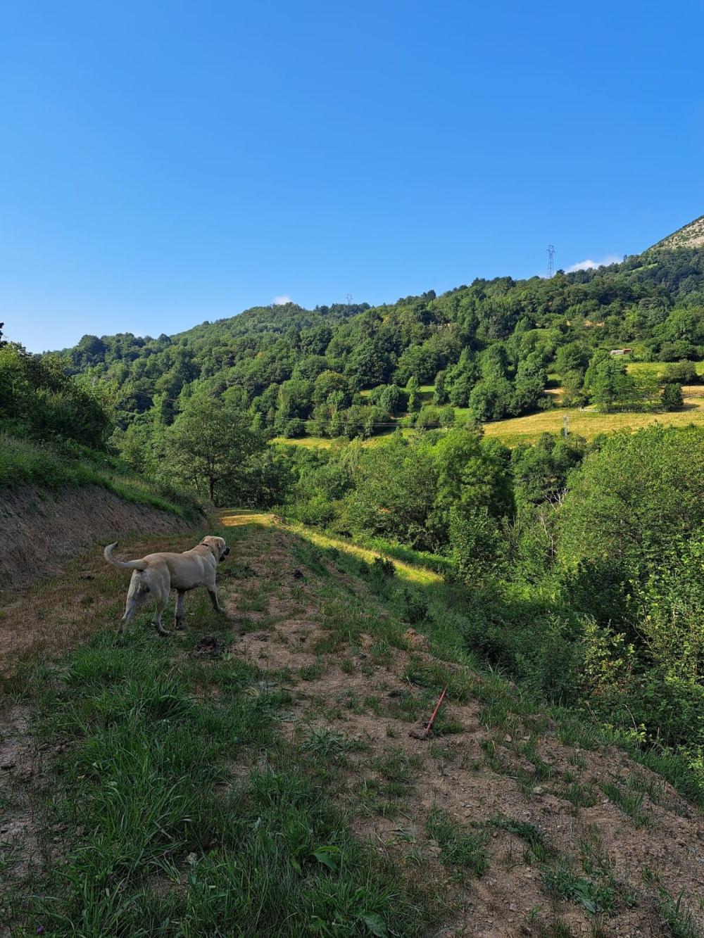  for sale country house Campo De Caso Nalón 33