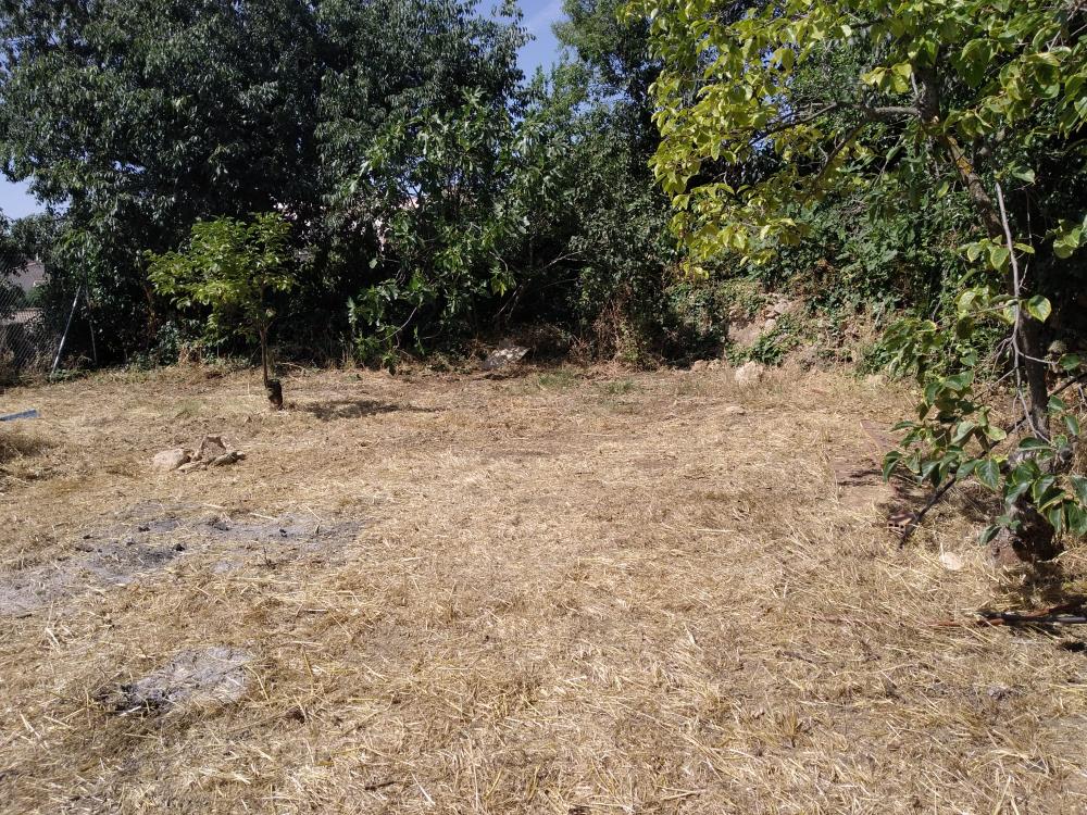  for sale villa Frailes Sierra Sur 6
