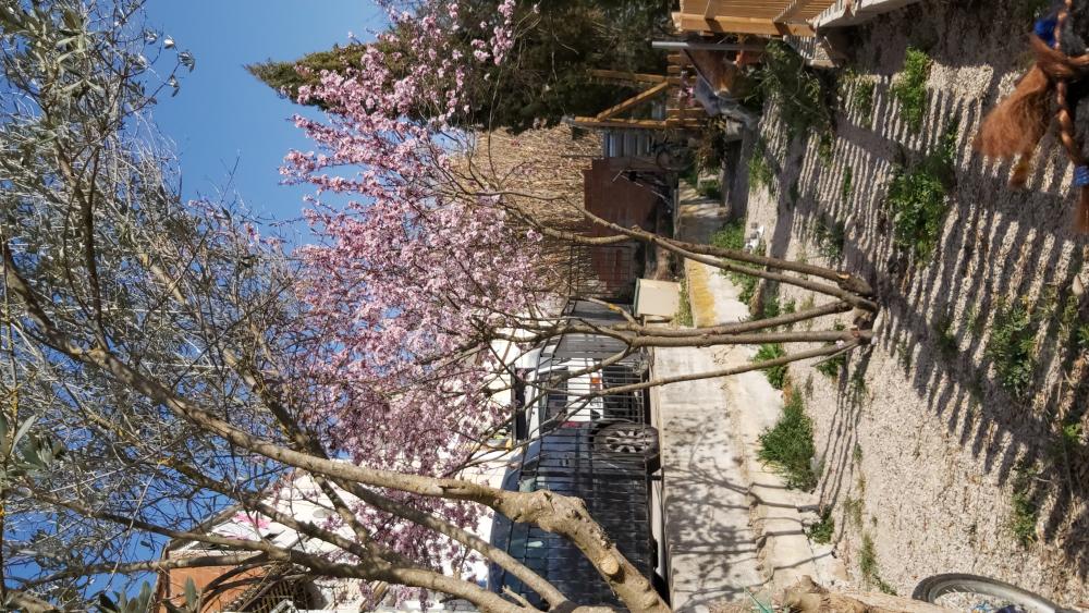  for sale house La Torre Anoia 24