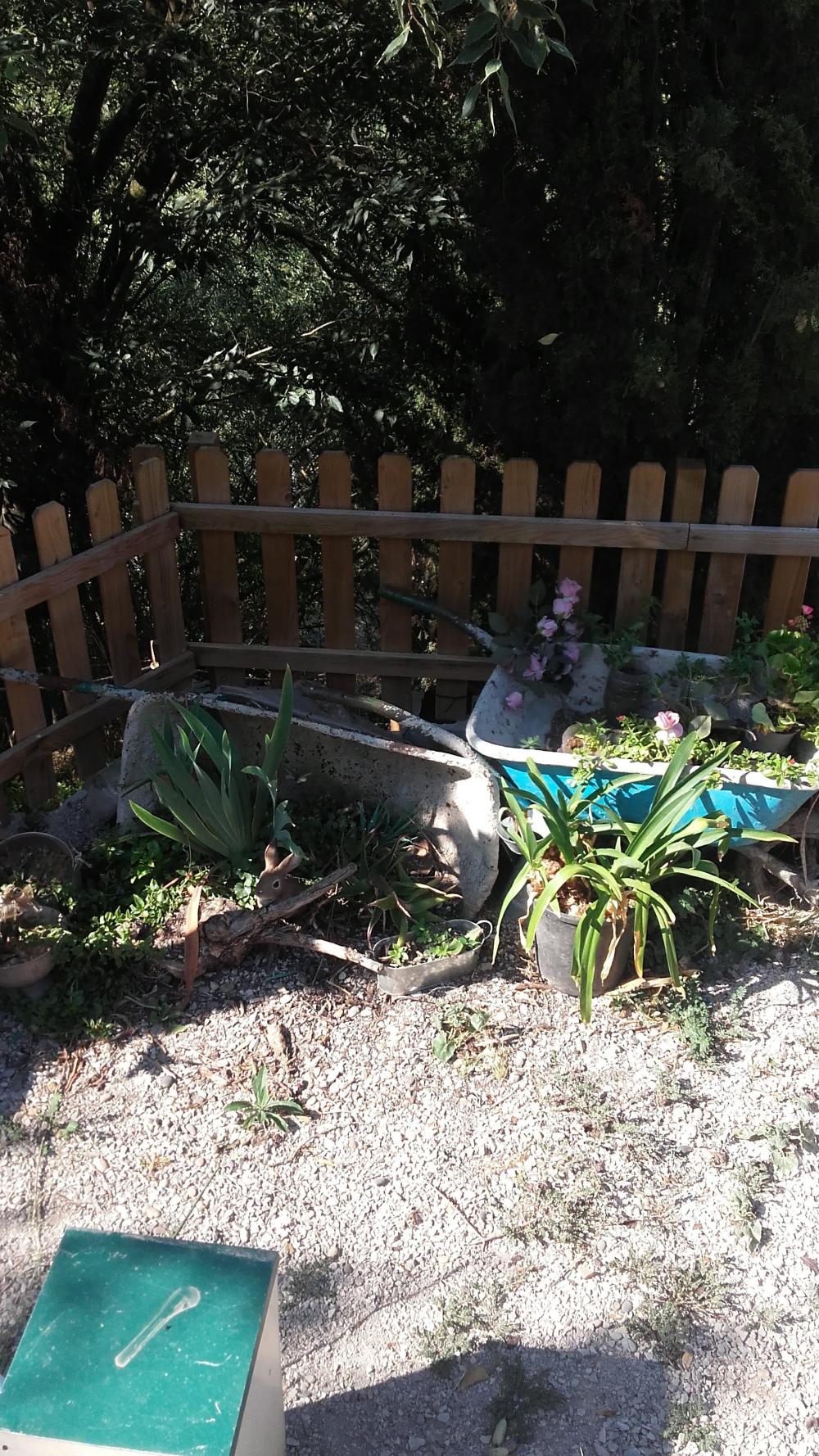  for sale house La Torre Anoia 7